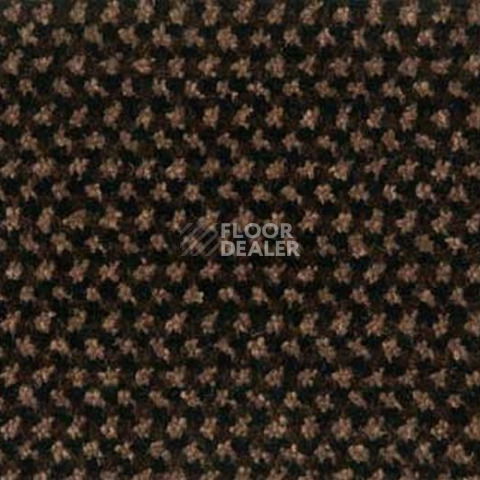 Грязезащитные покрытия Forbo Coral T32 320037200 Brown фото 1 | FLOORDEALER